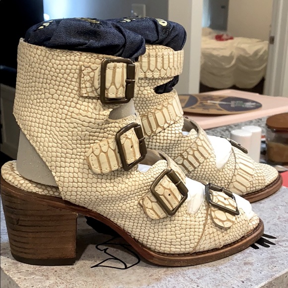 freebird by steven quail